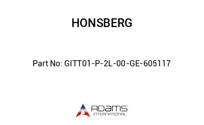 GITT01-P-2L-00-GE-605117 GITT01-P-2L-00-GE-605117